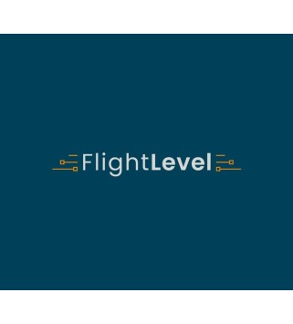 Flight Level Steam Key GLOBAL